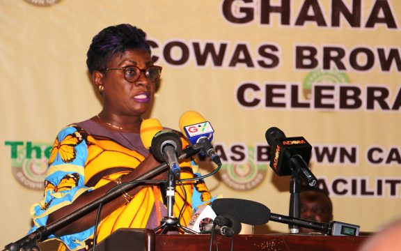 GSA committed to success of ECOWAS Brown Card Scheme-CEO