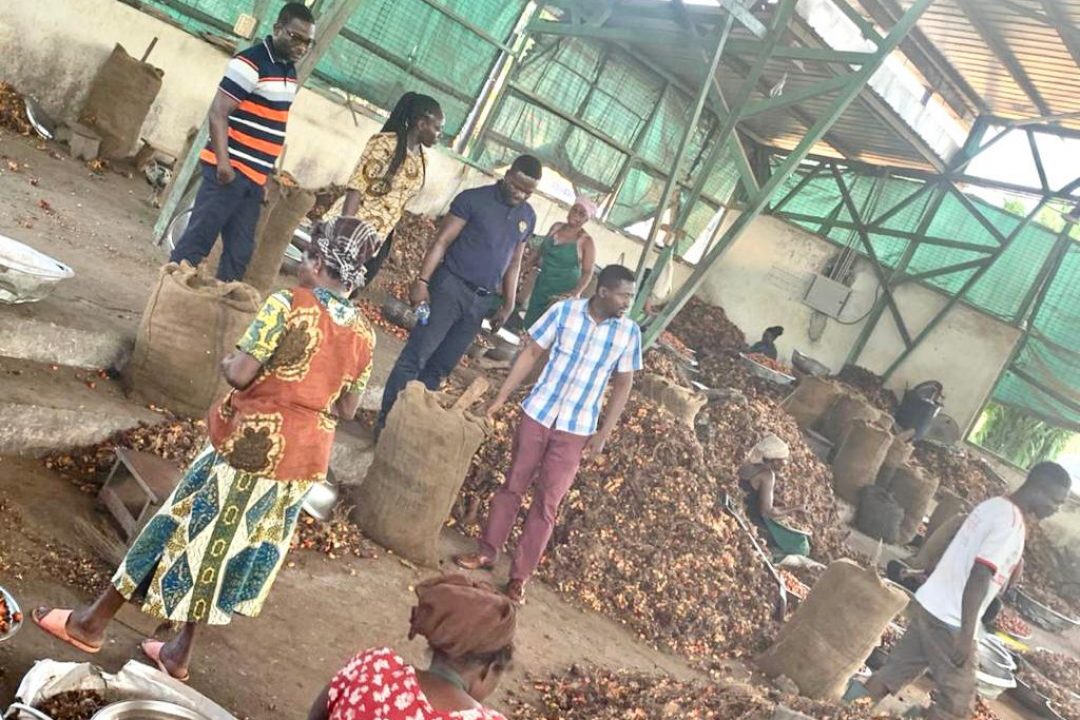Shippers’ Authority visits oil palm and wood exporters in Eastern Region 