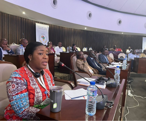 AfCFTA Trade Facilitation Confab: Ghana Shippers’ Authority Push for Robust Transport Infrastructure