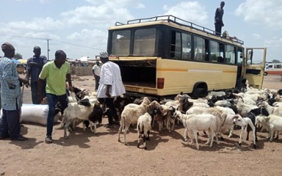 Anthrax Outbreak: Urgent Vaccination Advisory for Upper East Livestock Traders